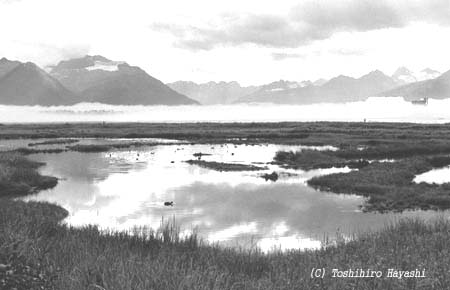 Dawn in Valdez-2