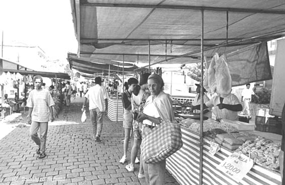 Morning Market 04