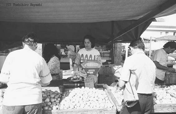 Morning Market 06