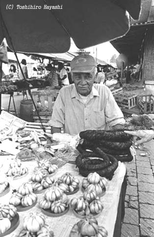 Morning Market 12