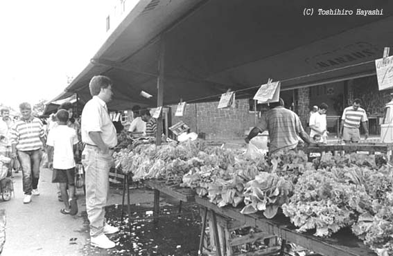 Morning Market 13