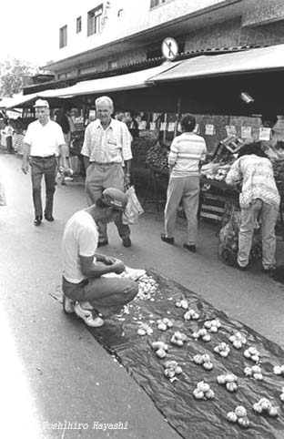 Morning Market 14