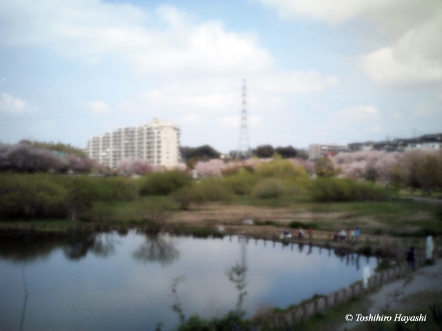 Nagatsu-gawa shinsui park