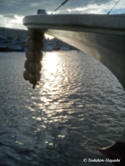 Bow