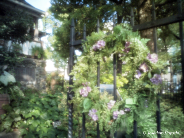 Hibiya-Park #6