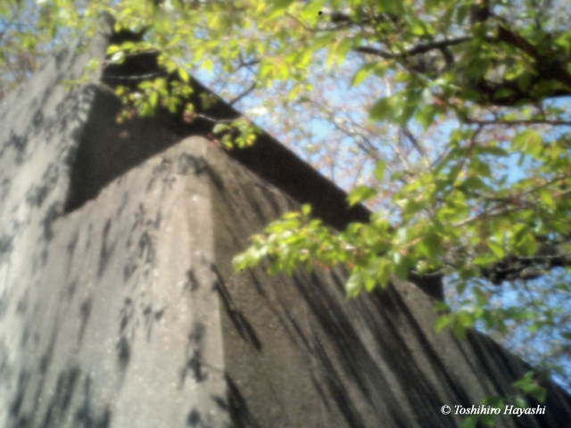 Ruins of the railway bridge #2