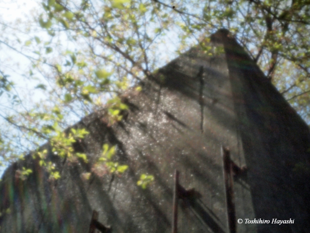 Ruins of the railway bridge #4