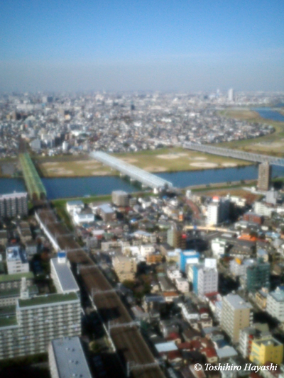 Bird's-eye view