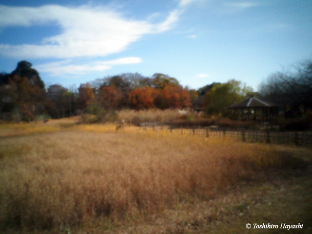 Mimomi-Hongo Garden #1 