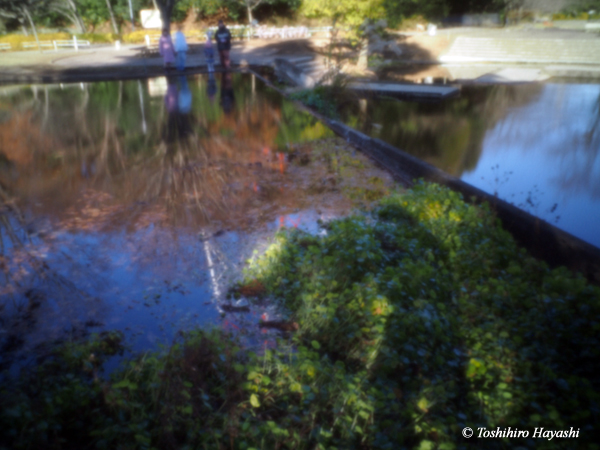 Water mirror