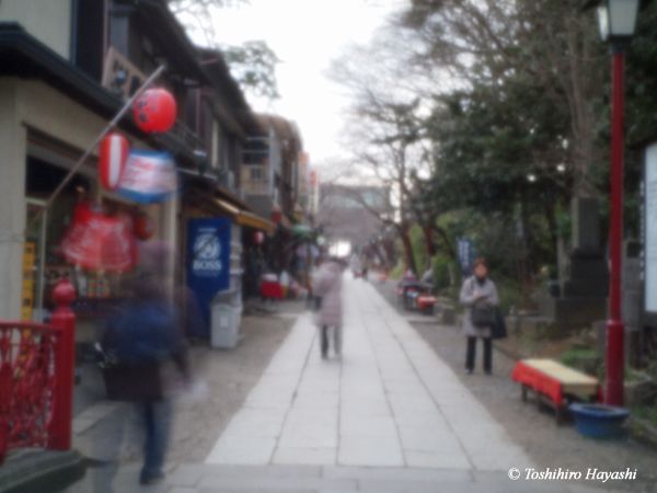 Approach to Hokekkyo temple