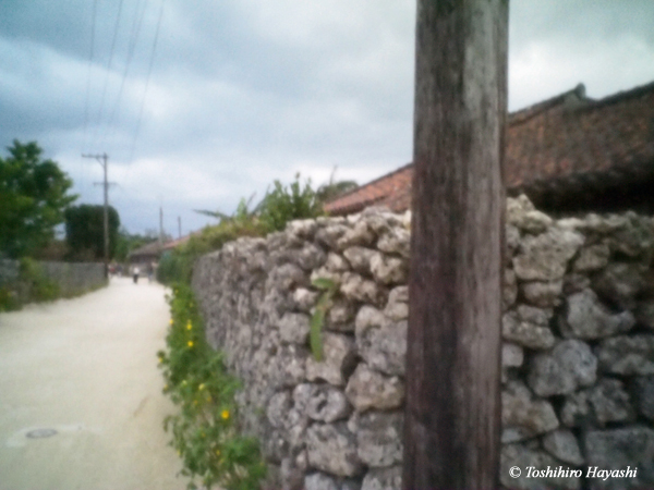 Village with Stone fence