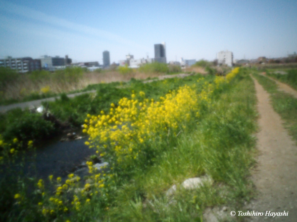 Trail near the city