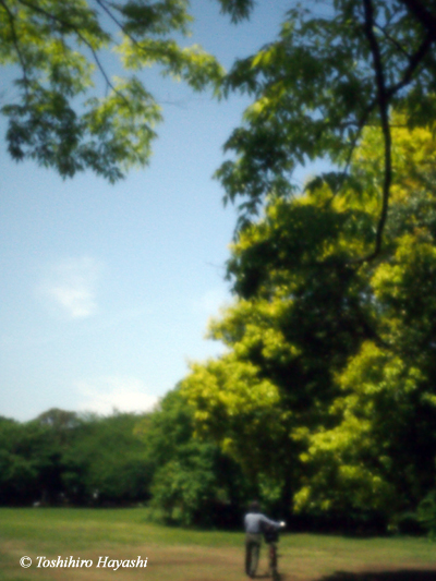 Fresh verdure