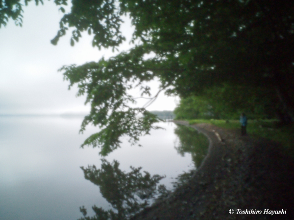 Morning lake side #1