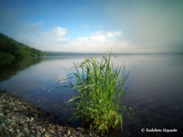 Morning lake side #2