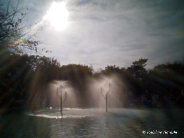 Towers of mist