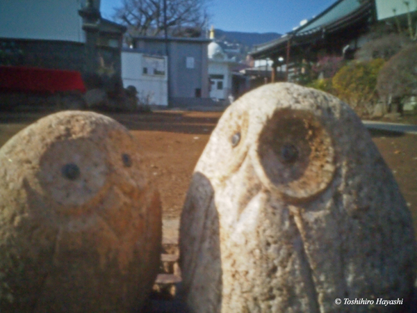 Owl figurines