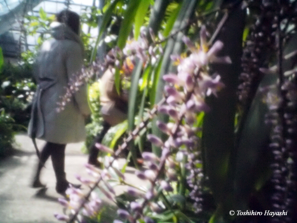 In the greenhouse