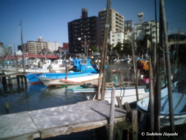 Fishing boats pool #1