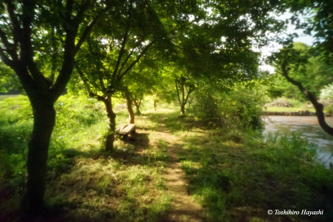 Satoyama near the town #6