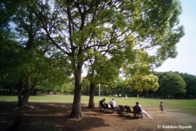 Scenes in the park #2