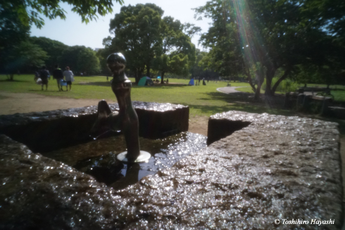 Scenes in the park #5