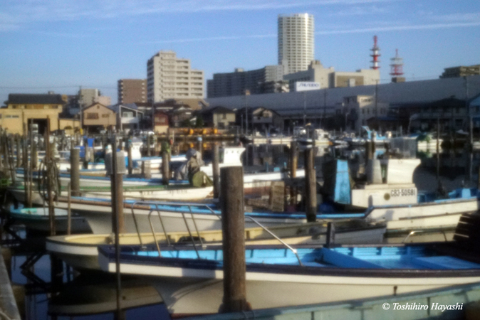 Anchorage of fisher boats #2