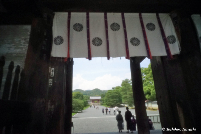 Ninna-ji temple #1