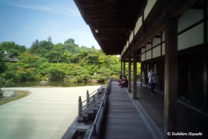 Ninna-ji temple #3