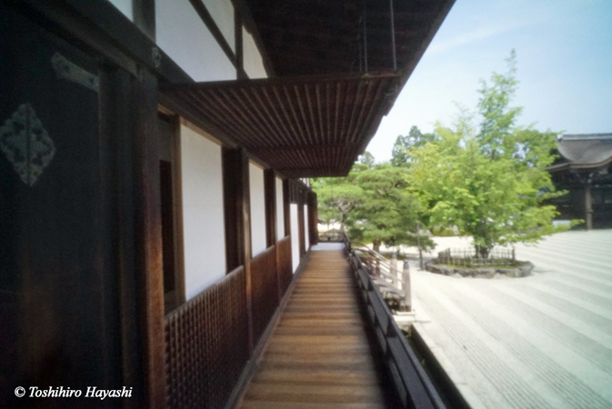 Ninna-ji temple #4