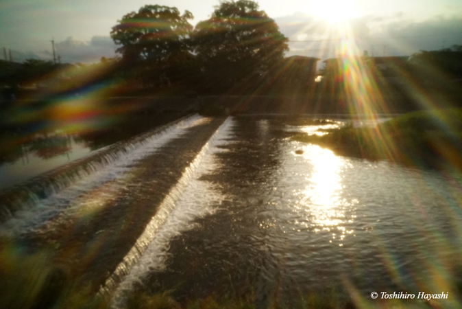 Kamogawa river in the morning #2