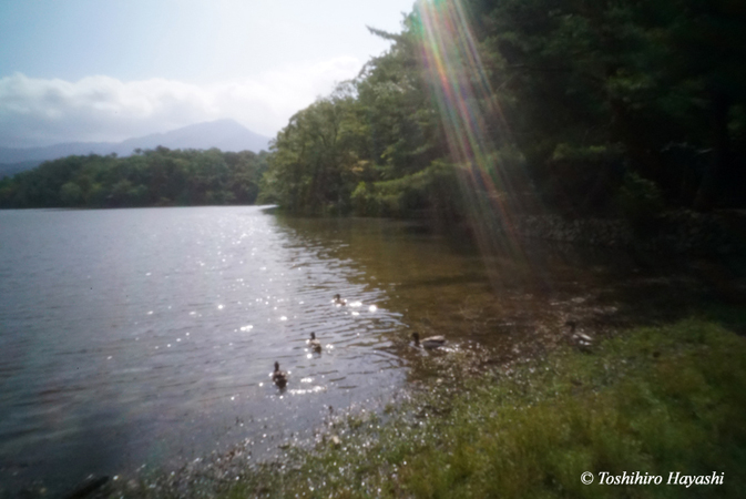 Takaragaike pond