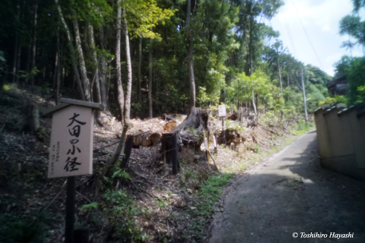 Oota Shrine #1