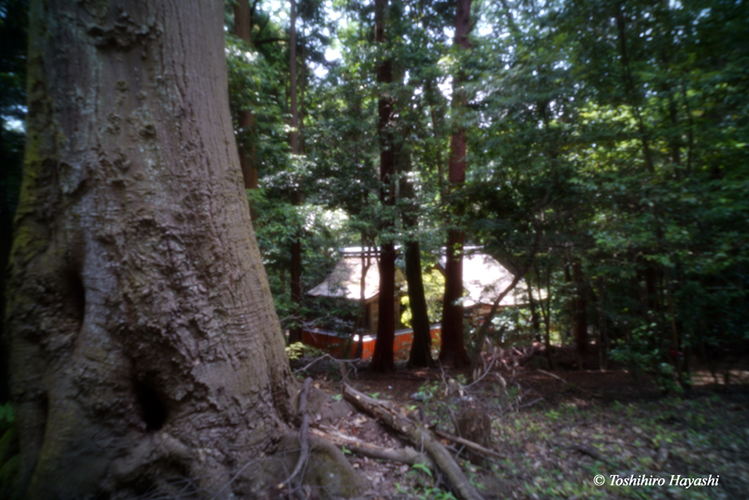 Oota Shrine #2