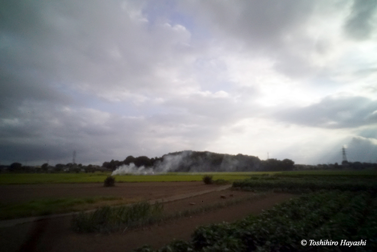 Coutryside of rice field #3