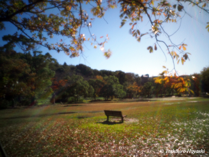 Park after raining #1