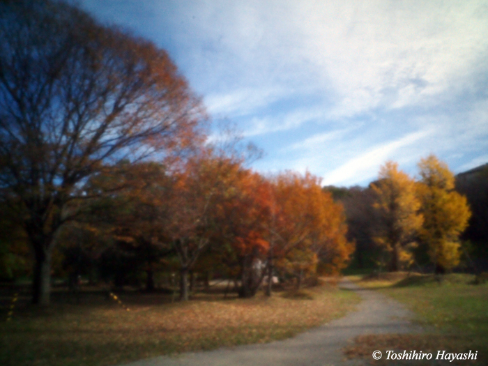 Autumn Park #1