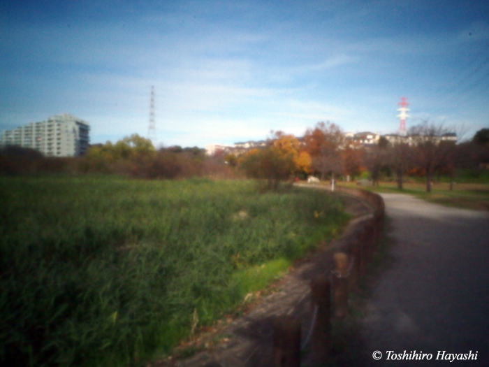Autumn Park #3
