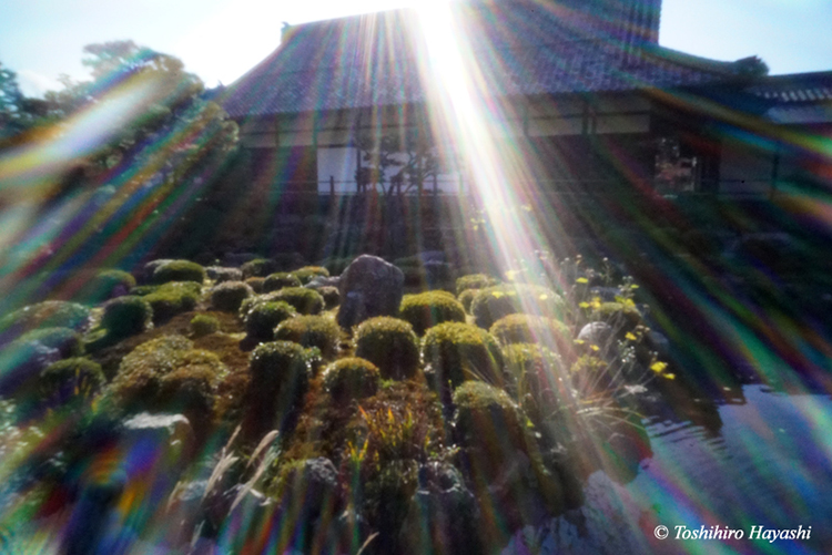 Garden of Tohjiin temple #1