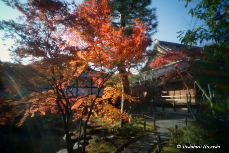 Garden of Tohjiin temple #4