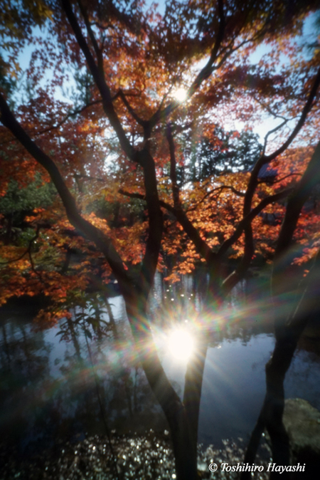 Garden of Tohjiin temple #5