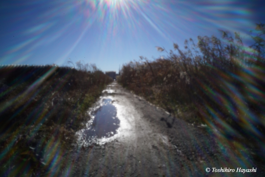 Muddy path