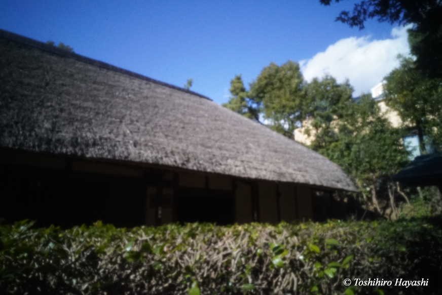 Ohsawa old folk house #1