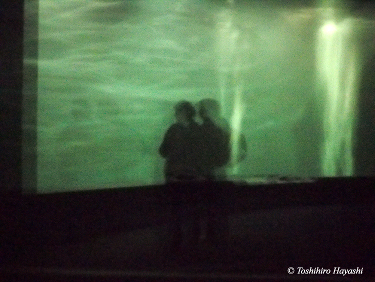 #14 "Aquarium for swimming tunas"