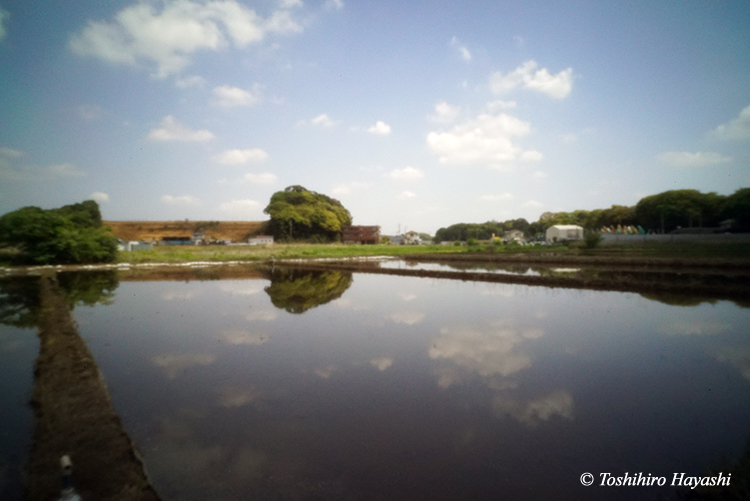 #32  "The day before rice field before planting"