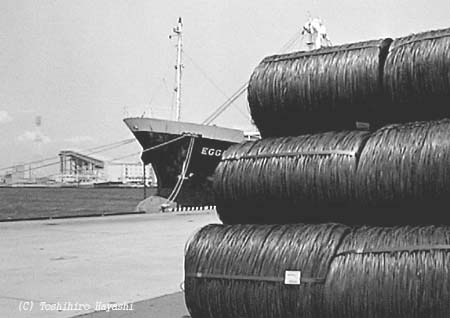 Steel Wires (Boundary of the City)