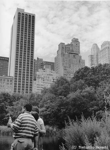 Central Park #1