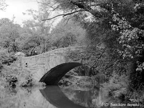 Stone Bridge