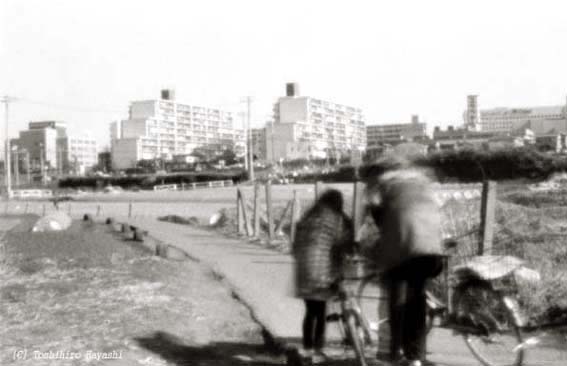 Path to the Town (Boundary of the City)